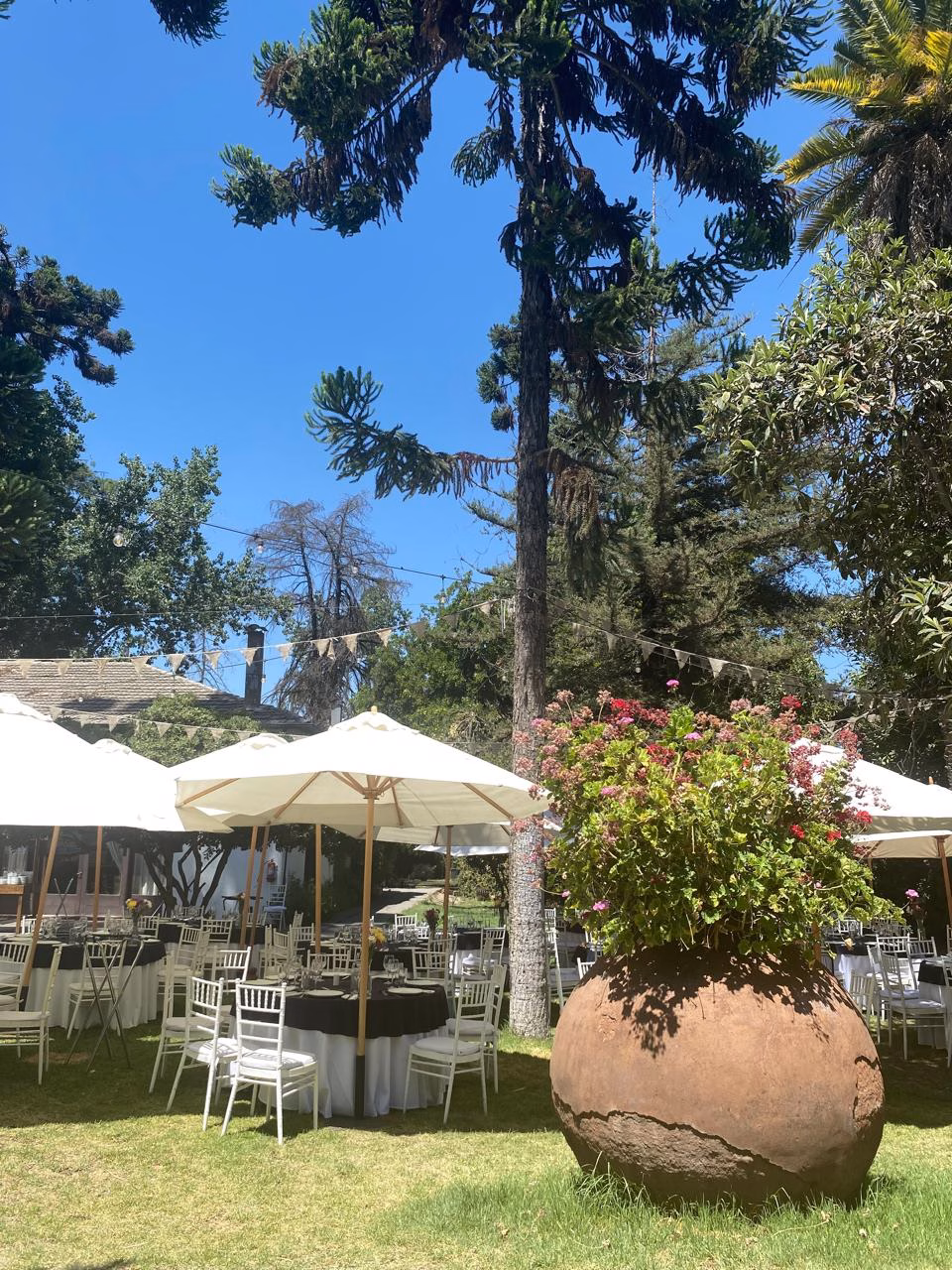 Jardín y espacios de encuentro al aire libre del recinto